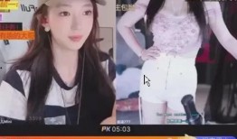 原神爆料 主播排行榜最新,揭秘最新榜单风云变幻